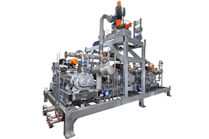 Dry Vacuum Pumps Engineered-to-Order Systems - Nash